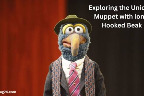 Muppet with long Hooked Beak