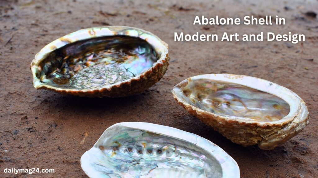 Abalone Shell