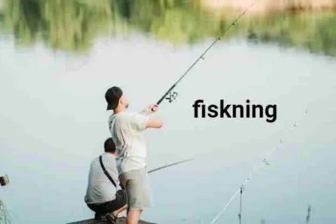 fiskning